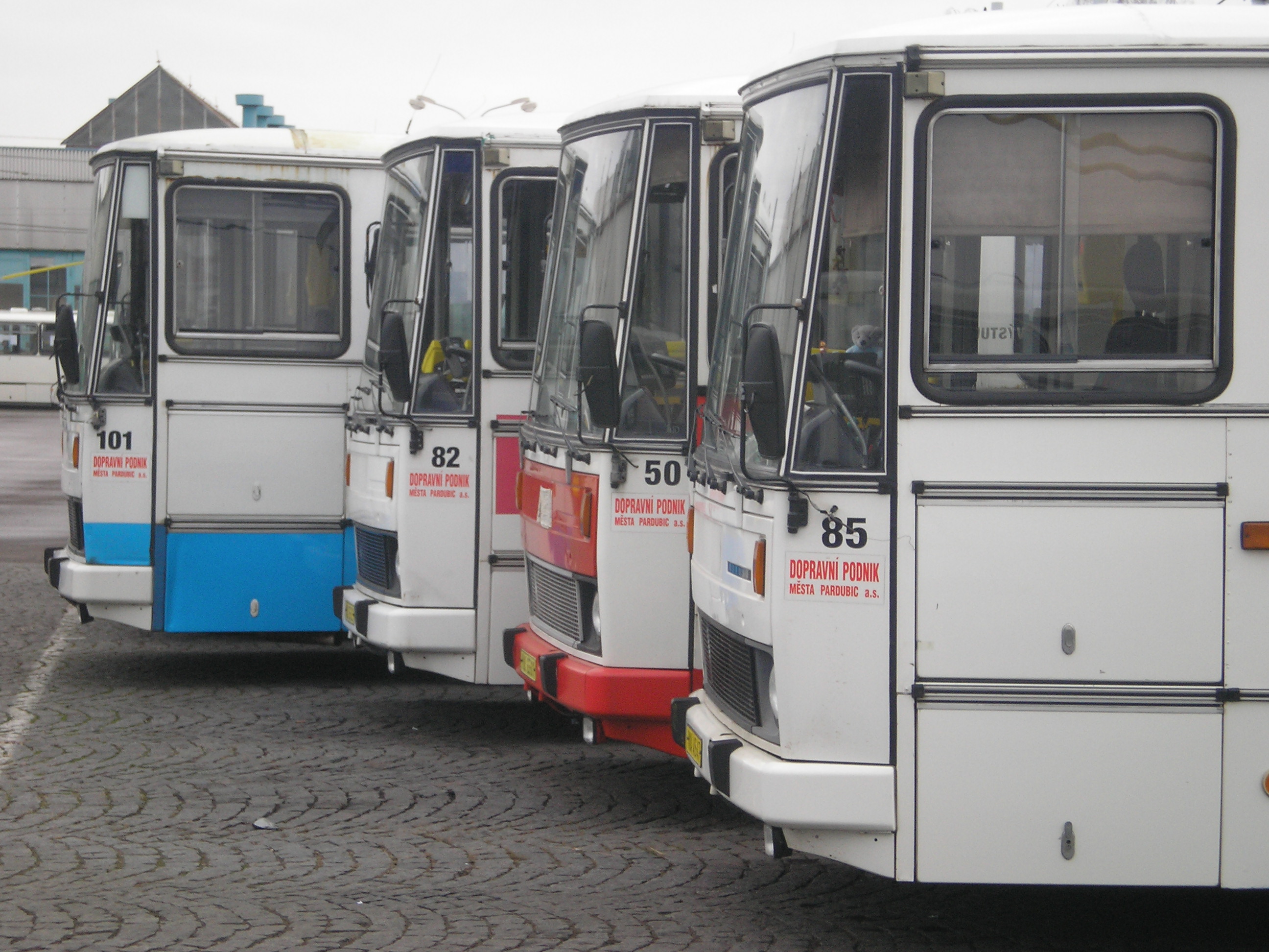 PC250223.JPG